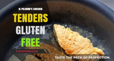 Are Pilgrim's Chicken Tenders Gluten-Free? A Complete Guide