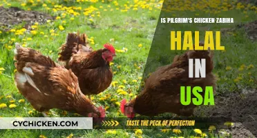 Is Pilgrim's Chicken Zabiha Halal in the USA?