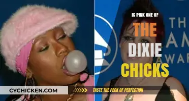 Is Pink a Dixie Chick? Unraveling the Musical Connection