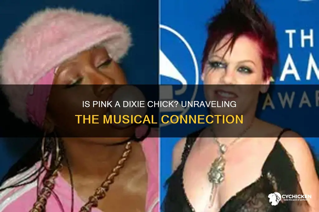 is pink one of the dixie chicks
