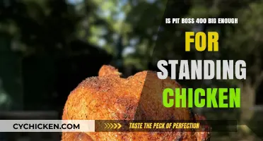 The Pit Boss 400: Roomy Enough for Standing Chickens?
