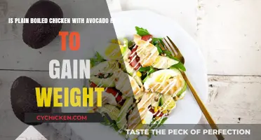 Nutritious Weight Gain: Boiled Chicken and Avocado Diet Plan
