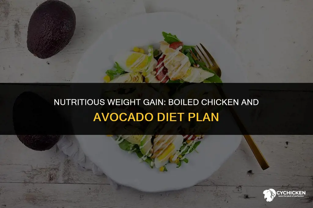 is plain boiled chicken with avocado healthy to gain weight