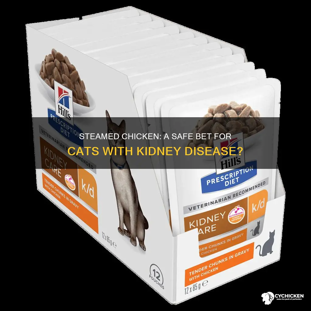 is plain steamed chicken okay for cats with kidney disease