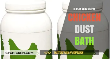 Is Play Sand Safe for Chicken Dust Baths? Expert Insights