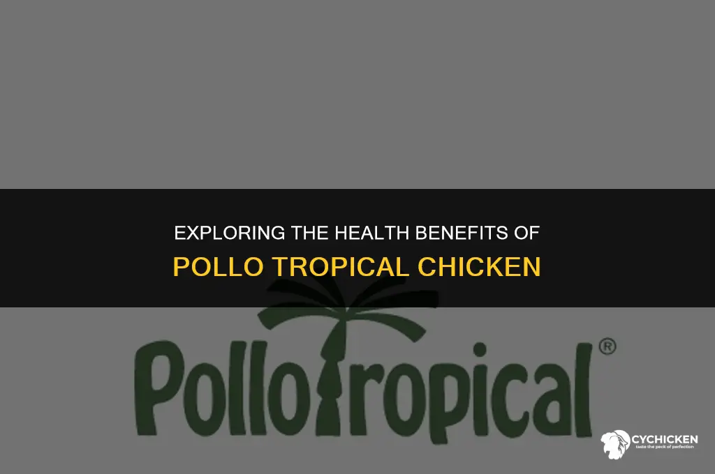is pollo tropical chicken healthy
