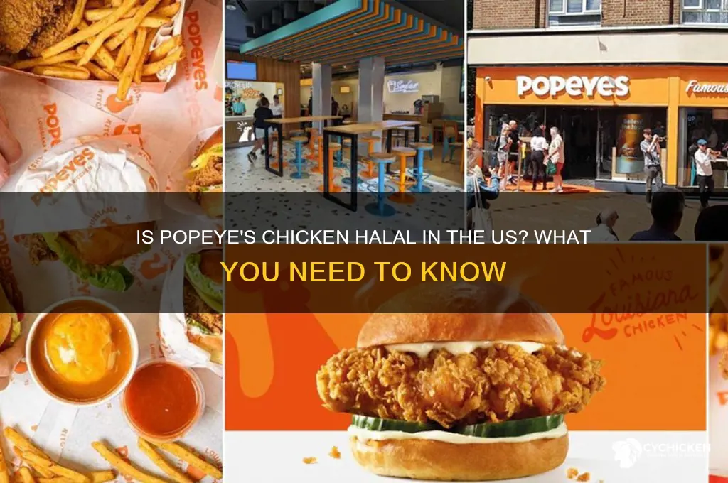 is popeye chicken in the us halal