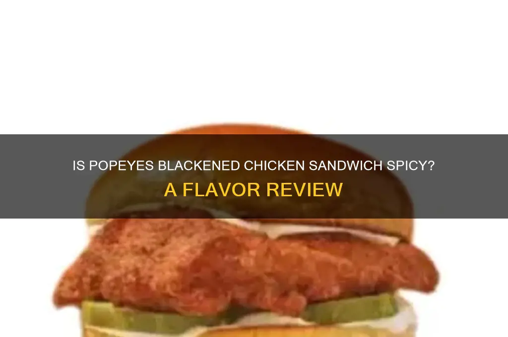 is popeyes blackened chicken sandwich spicy