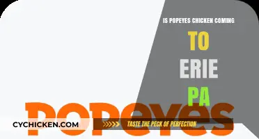 Popeyes Chicken in Erie, PA: Rumors, Plans, and What’s Next