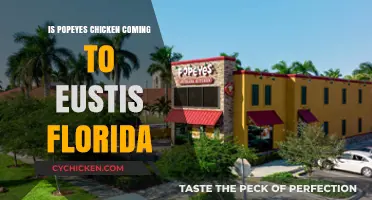 Popeyes Chicken in Eustis, Florida: Rumors, Updates, and What's Next