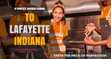 Popeyes Chicken Lafayette Indiana: Is the Rumor True?