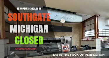 Popeyes Chicken Southgate Michigan: Current Status and Closure Updates