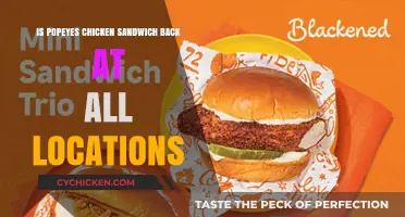 Popeyes Chicken Sandwich Returns: Nationwide Availability Confirmed at All Locations
