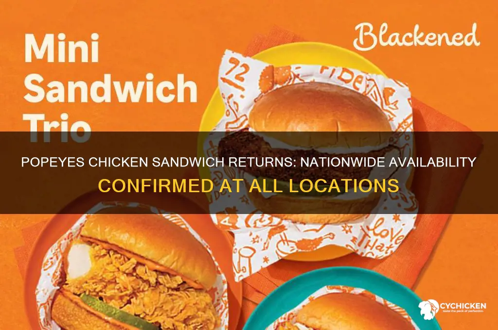 is popeyes chicken sandwich back at all locations