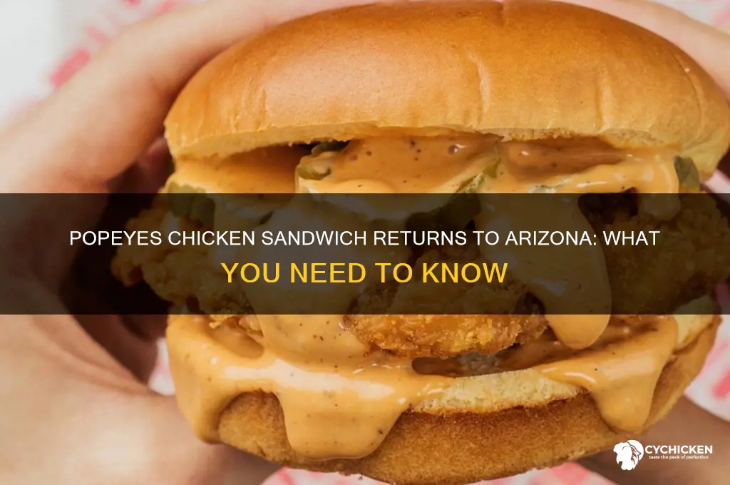 is popeyes chicken sandwich back in arizona