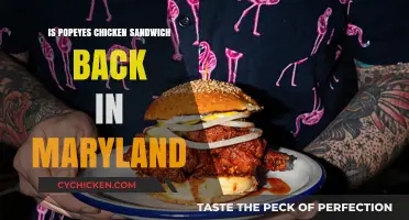 Popeyes Chicken Sandwich Returns to Maryland: What You Need to Know