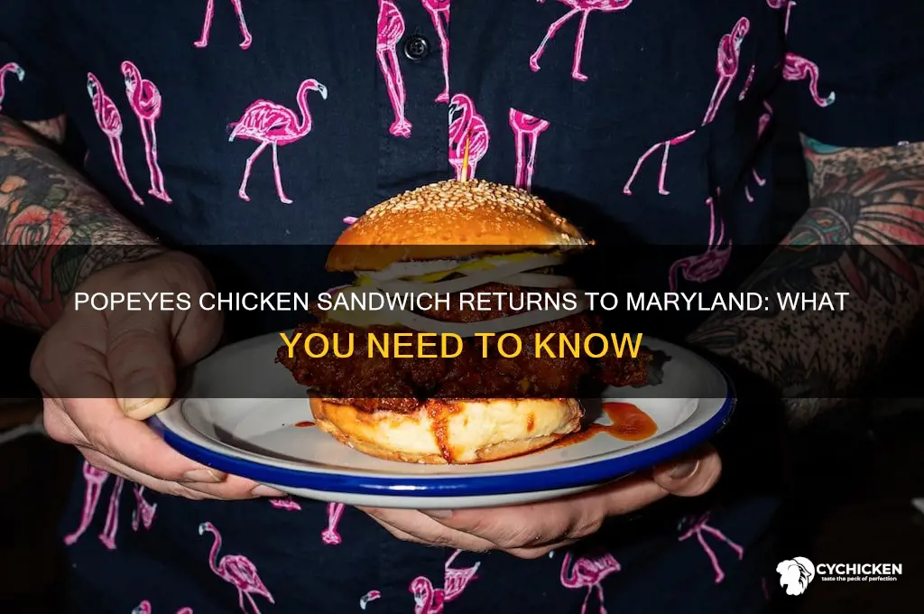 is popeyes chicken sandwich back in maryland