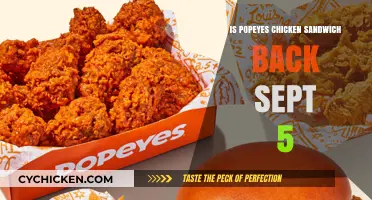 Popeyes Chicken Sandwich Returns: What to Expect on September 5th