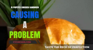 Popeyes Chicken Sandwich Craze: A Tasty Trend or Troubling Issue?