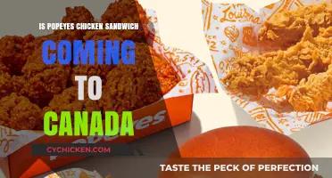 Popeyes Chicken Sandwich Canada Release: What We Know So Far