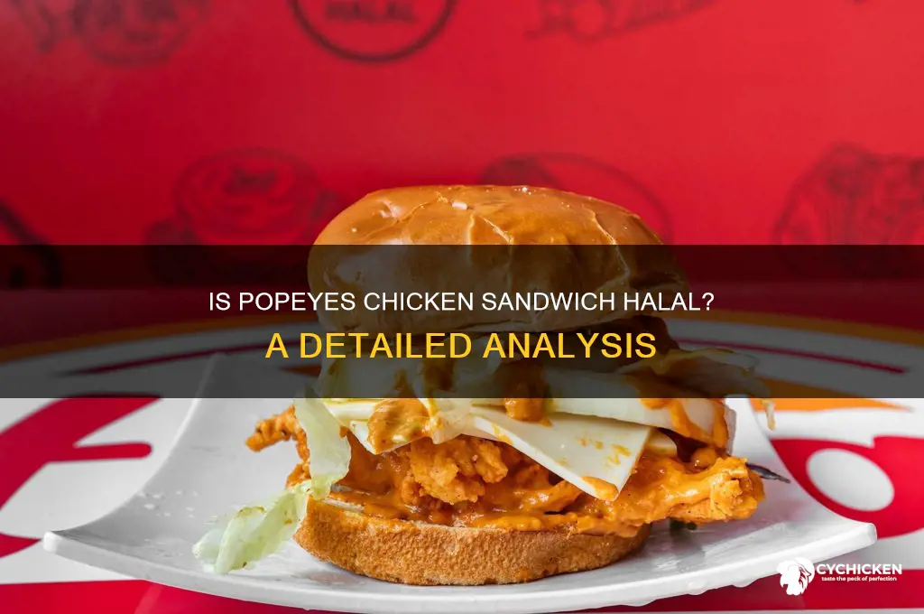 is popeyes chicken sandwich halal