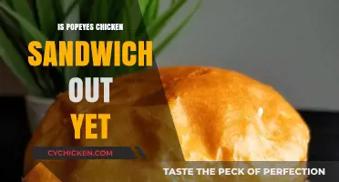Popeyes Chicken Sandwich Release: Is It Finally Here?