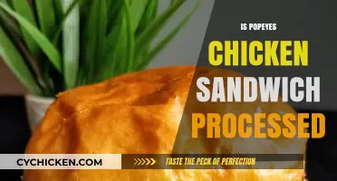 Is Popeyes Chicken Sandwich Processed? Uncovering the Truth Behind the Craze