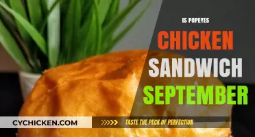 Popeyes Chicken Sandwich: September's Craze or Year-Round Favorite?