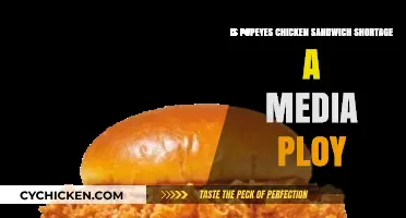 Popeyes Chicken Sandwich Shortage: Media Hype or Strategic Marketing Ploy?