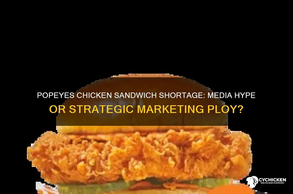 is popeyes chicken sandwich shortage a media ploy