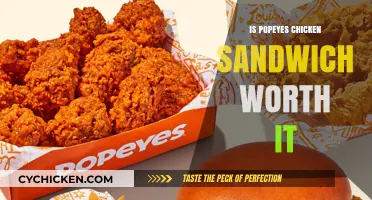 Popeyes Chicken Sandwich: Hype vs. Reality – Is It Worth the Craze?