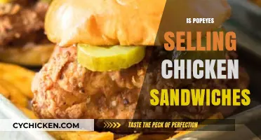 Popeyes Chicken Sandwiches: Are They Back on the Menu?