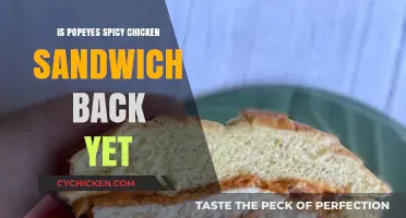Popeyes Spicy Chicken Sandwich Return: What We Know So Far