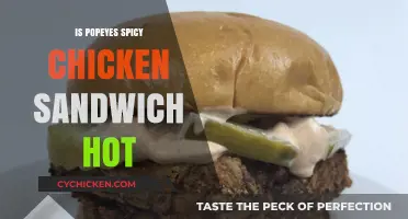 Is Popeyes Spicy Chicken Sandwich Truly Hot? A Fiery Review