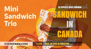 Popeyes Spicy Chicken Sandwich: Is It Available in Canada?