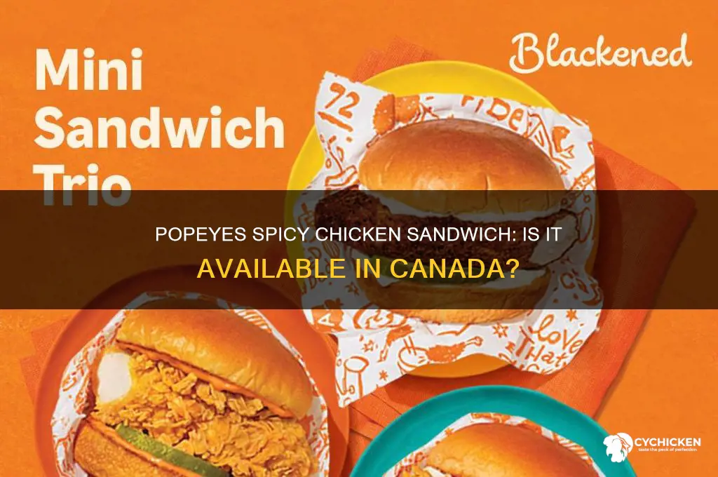 is popeyes spicy chicken sandwich in canada