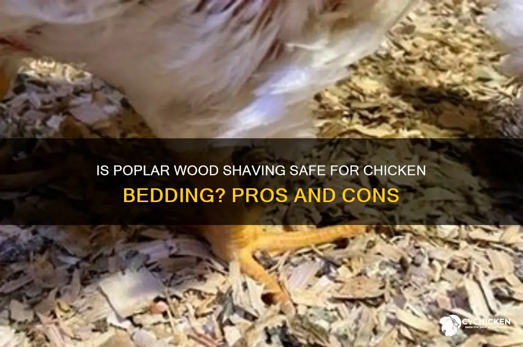 is poplar wood shaving ok for chicken bedding