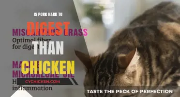 Pork vs. Chicken: Which Protein Is Harder to Digest?