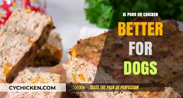 Pork vs. Chicken: Which Protein is Better for Your Dog?