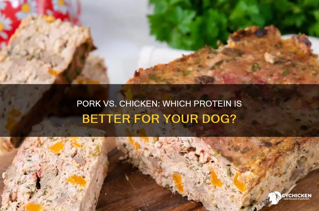 is pork or chicken better for dogs
