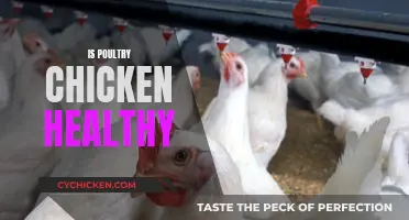 Exploring the Health Benefits of Poultry Chicken: A Nutritional Guide