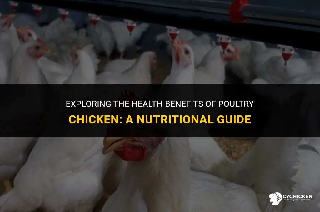 is poultry chicken healthy