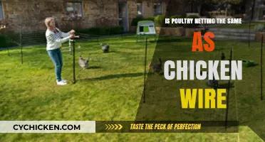 Poultry Netting vs Chicken Wire: Understanding the Key Differences