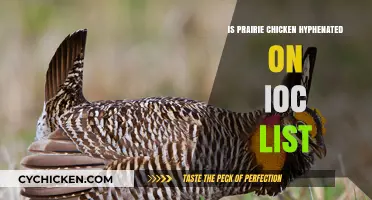 Prairie Chicken Hyphenation: IOC List Spelling Clarified