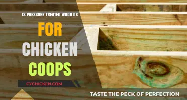 Safe and Sound: Using Pressure Treated Wood in Chicken Coops