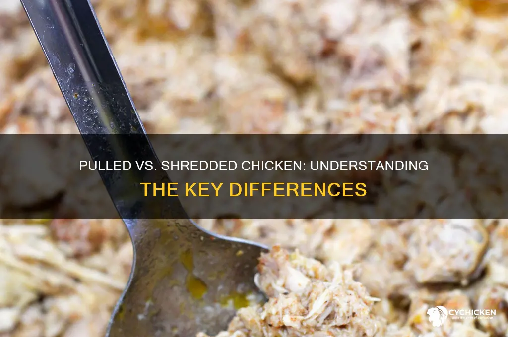 is pulled chicken different from shredded chicken