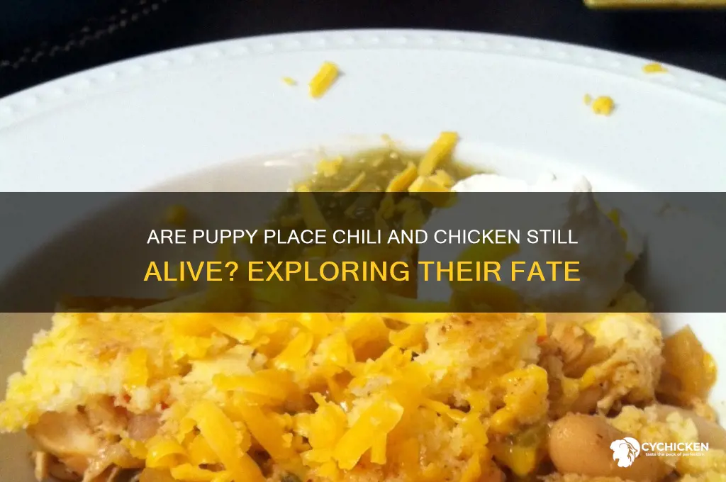 is puppy place chili and chicken alive