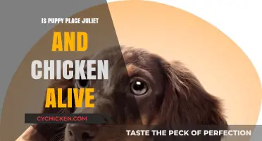 Are Juliet and Chicken from Puppy Place Still Alive?