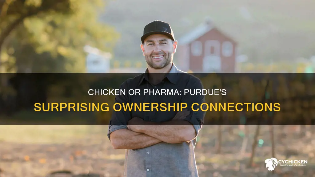 is purdue chicken the same owner of purdue pharma