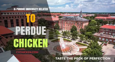 Purdue University vs. Perdue Chicken: Unraveling the Common Name Confusion
